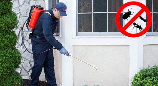 Gemlik Hamam Böceği İlaçlama böcek ilaçlama ve haşere kontrolü — ilaclama-tr.com